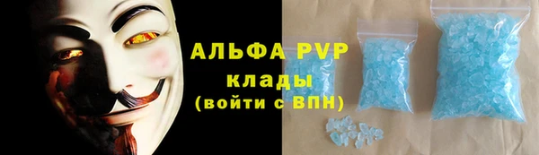 дмт Бердск